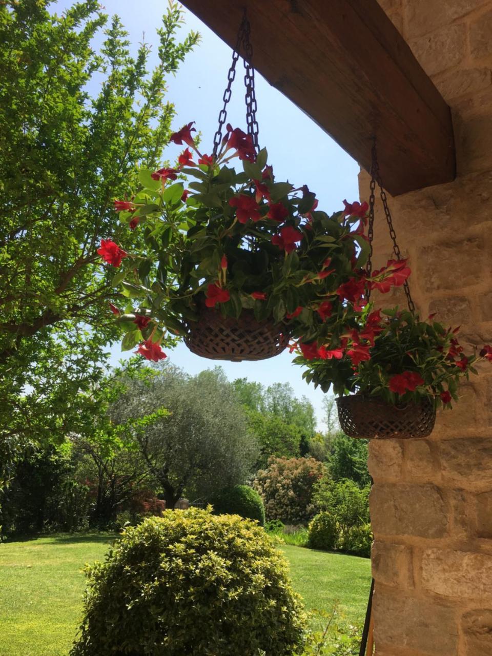 Casa Rebellato Villa San Zenone Dış mekan fotoğraf